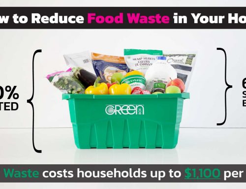 How to Prevent Food Waste (and save $1,000 per year)